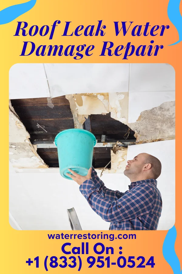Roof Leak Water Damage Repair in New Bloomington, OH