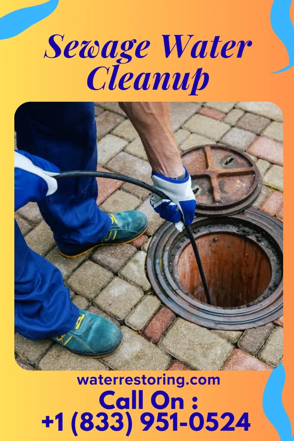 Sewage Water Cleanup in New Bloomington, OH