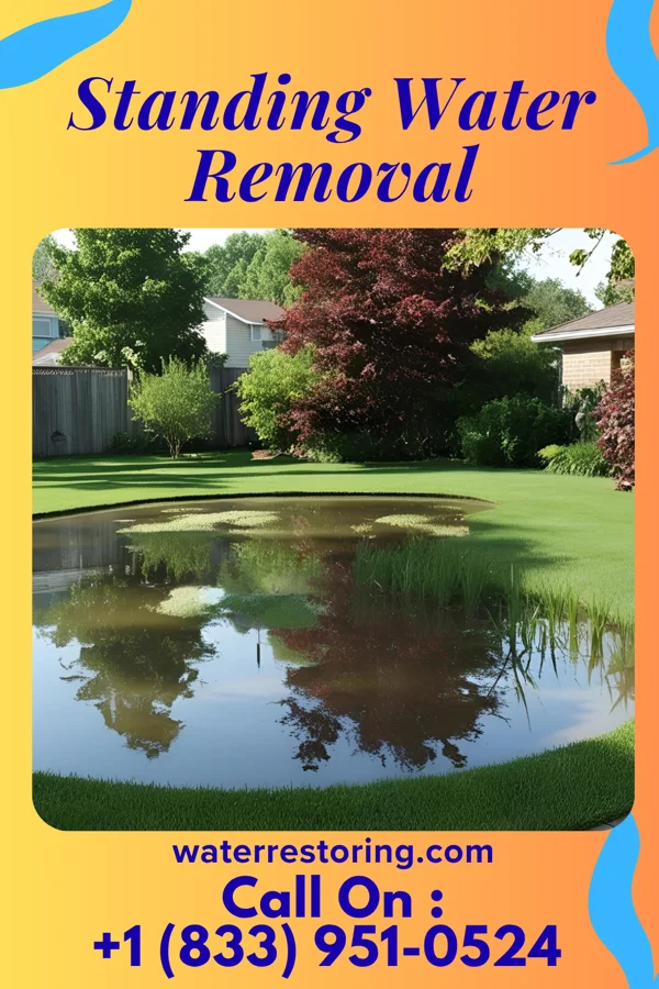 Standing Water Removal in New Bloomington, OH